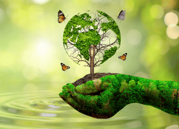 Government & Stakeholder Engagement
