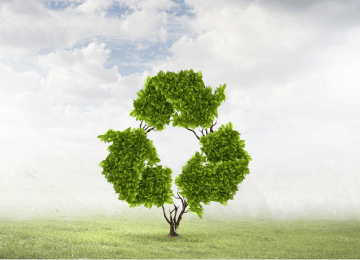 Agriculture, Energy & Infrastructure Projects